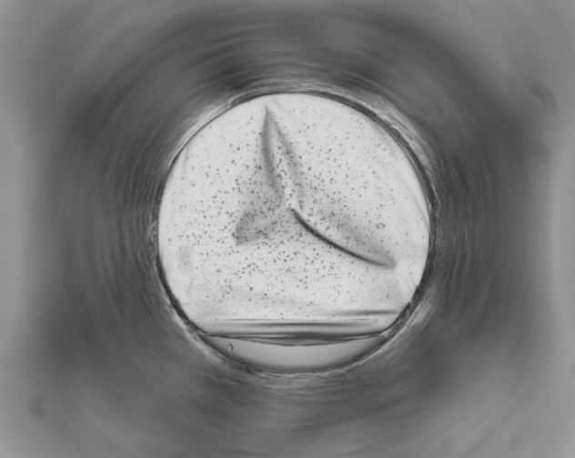 X0000111621385200908281103