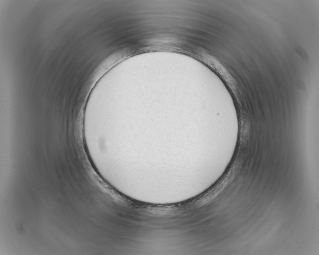 X0000111621386200908281103