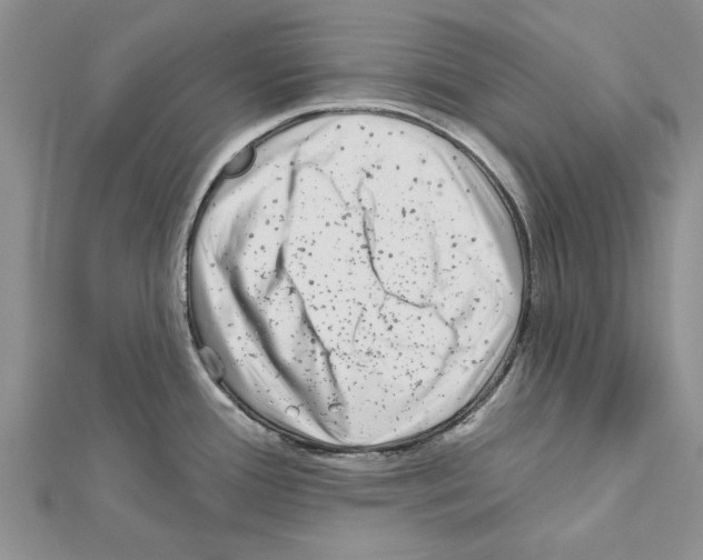 X0000111621388200908281103