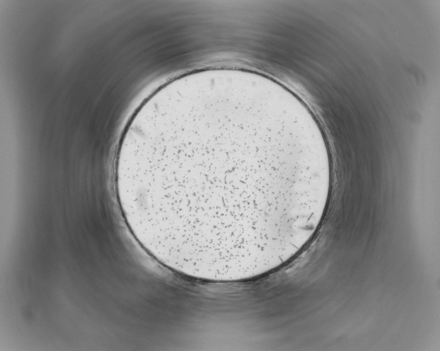 X0000111621392200908281103