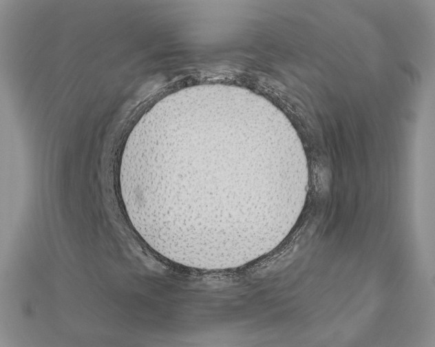 X0000111621393200908281103