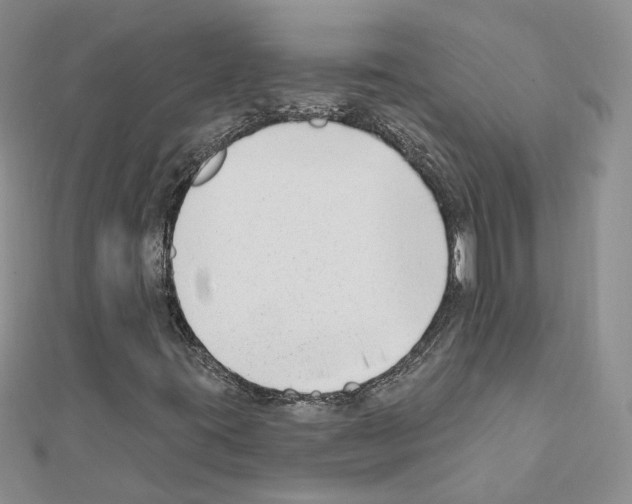 X0000111621395200908281103