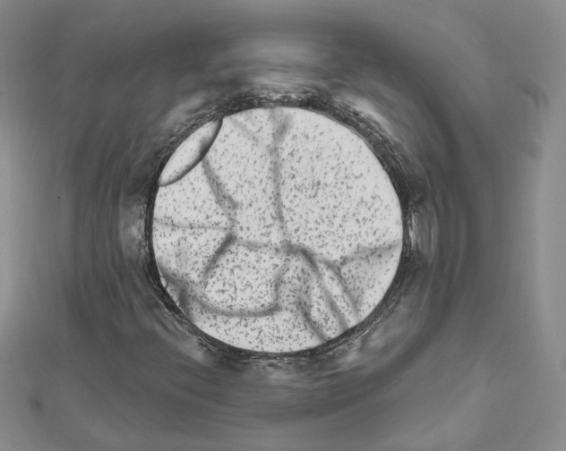 X0000111621396200908281103