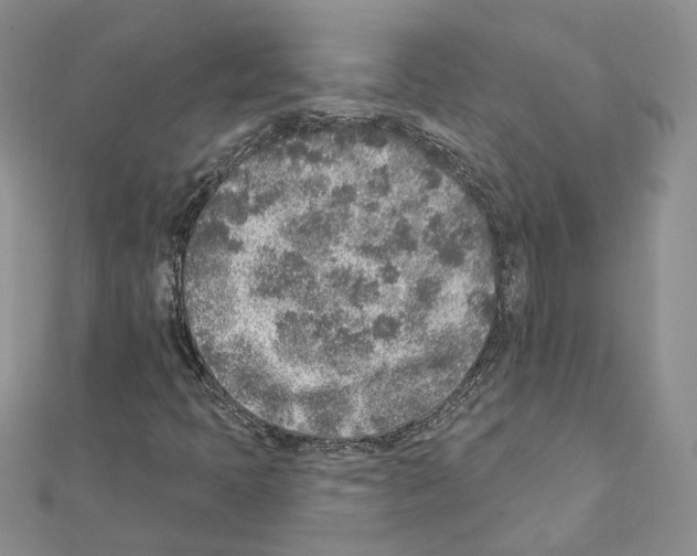 X0000111621397200908281103