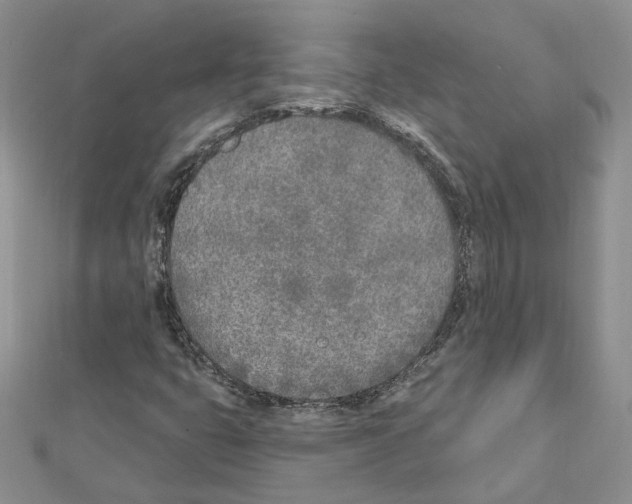 X0000111621399200908281103