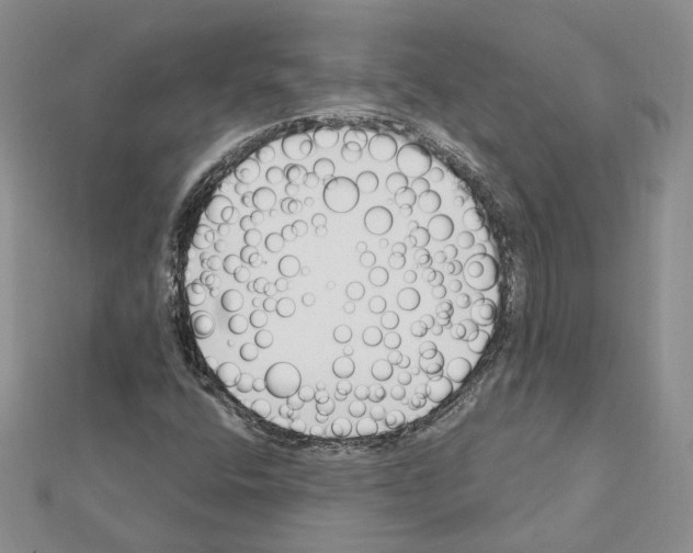 X0000111621400200908281103