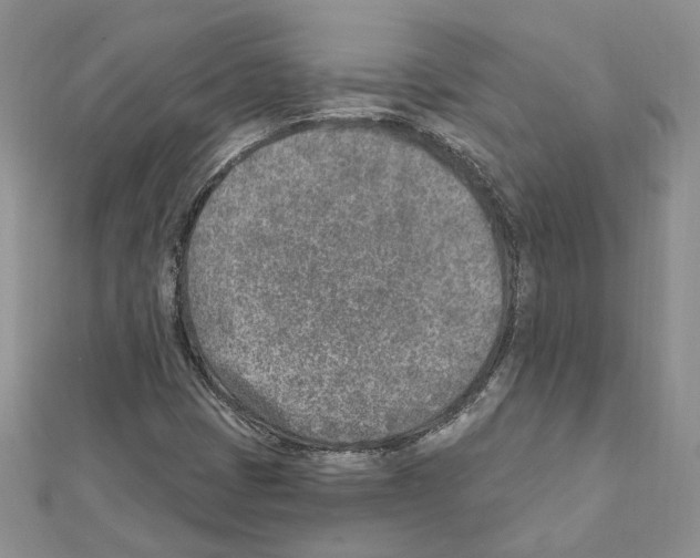 X0000111621401200908281103