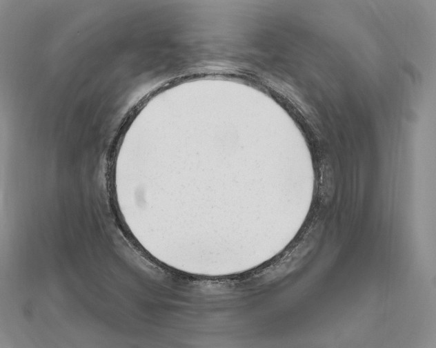 X0000111621404200908281103