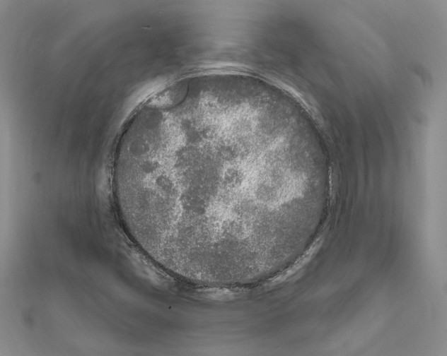 X0000111621405200908281103