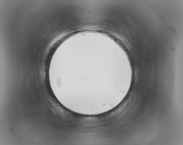 X0000111621406200908281103