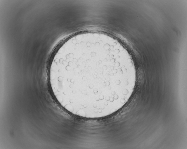 X0000111621408200908281103