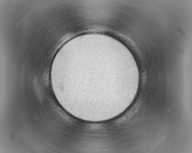 X0000111621409200908281103