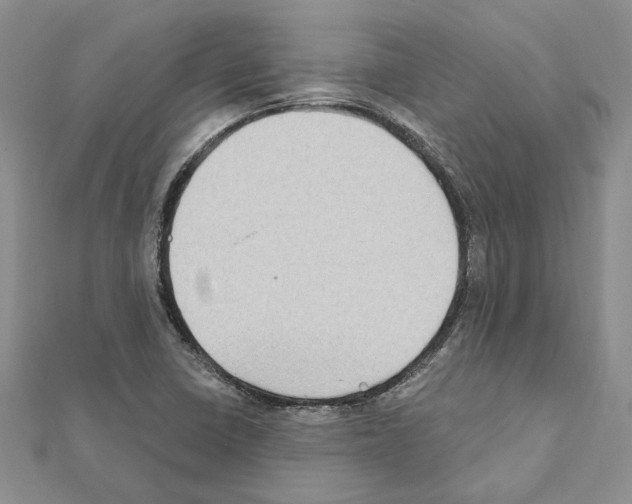 X0000111621410200908281103