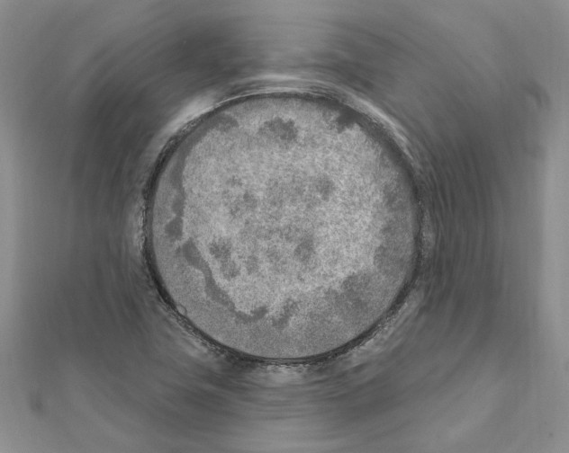 X0000111621411200908281103