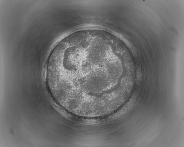 X0000111621413200908281103