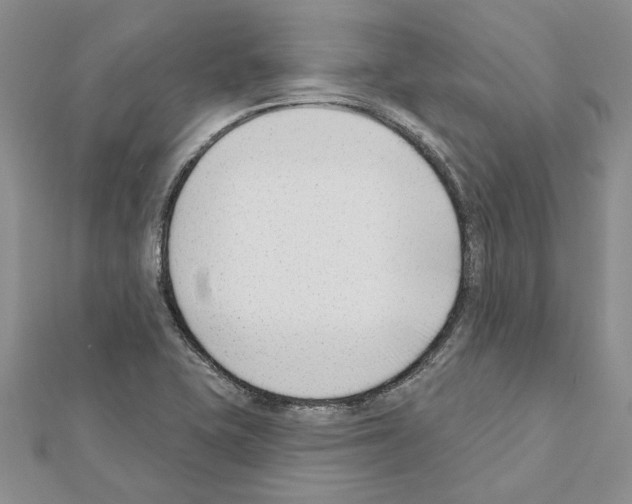 X0000111621415200908281103