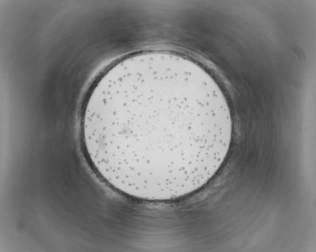 X0000111621416200908281103