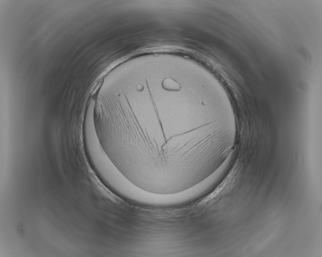 X0000111621417200908281103