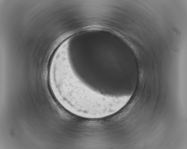 X0000111621418200908281103