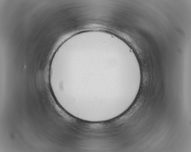 X0000111621421200908281103