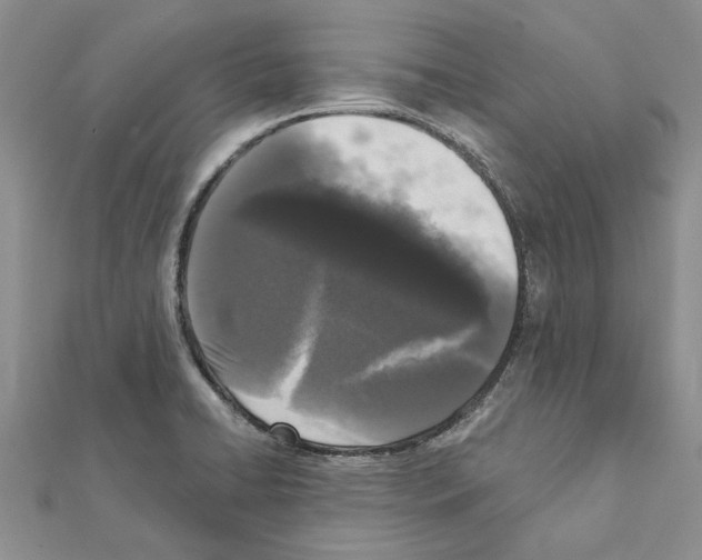 X0000111621422200908281103