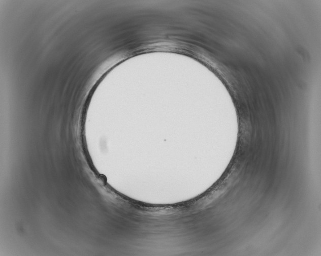 X0000111621426200908281103