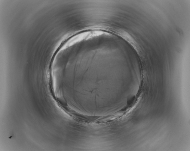 X0000111621428200908281103