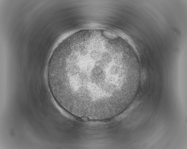 X0000111621429200908281103