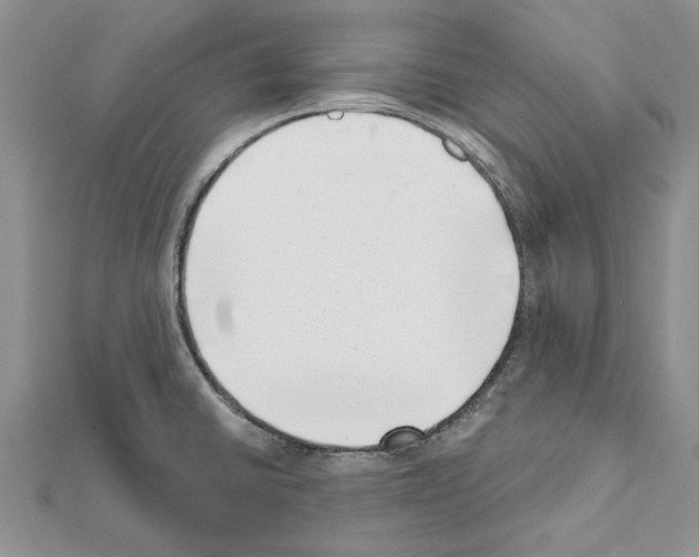 X0000111621430200908281103