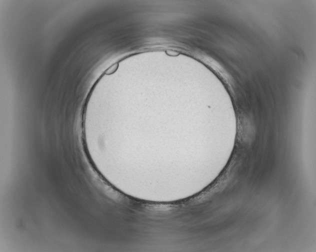 X0000111621431200908281103