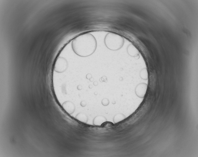 X0000111621432200908281103