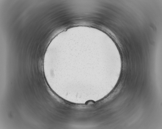 X0000111621433200908281103