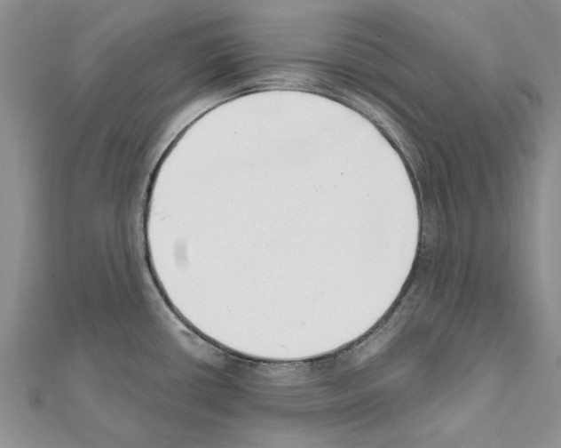 X0000111621434200908281103