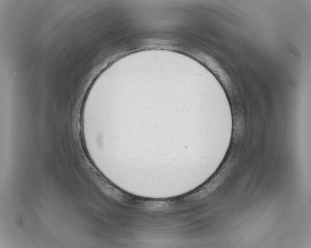 X0000111621435200908281103