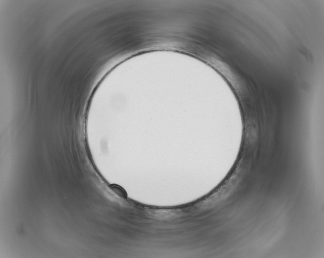 X0000111621436200908281103