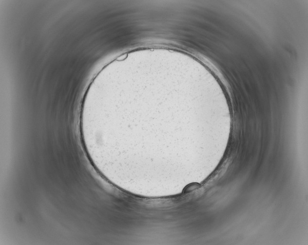 X0000111621437200908281103