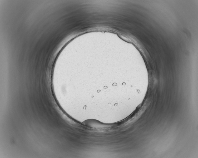 X0000111621438200908281103