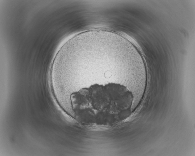 X0000111621440200908281103