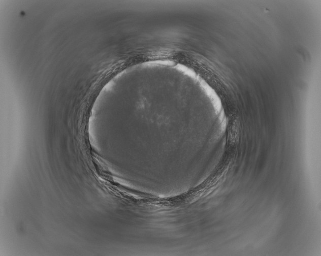 X0000111621441200908281103