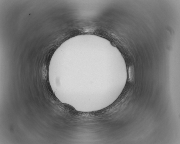 X0000111621443200908281102