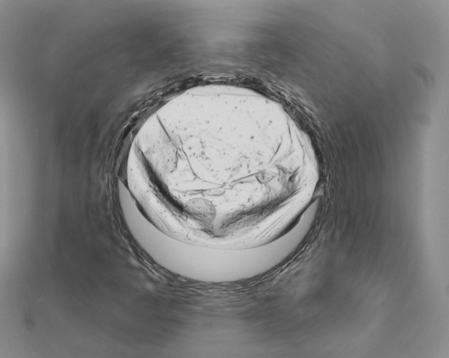 X0000111621445200908281102