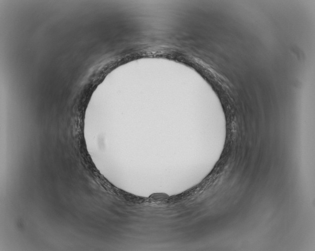 X0000111621447200908281102