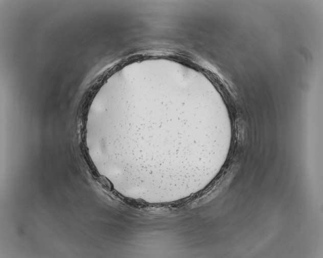 X0000111621448200908281102