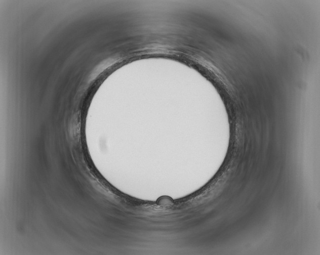 X0000111621450200908281102