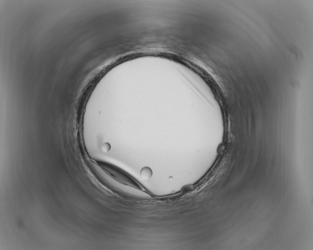 X0000111621452200908281102