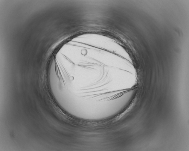 X0000111621453200908281102