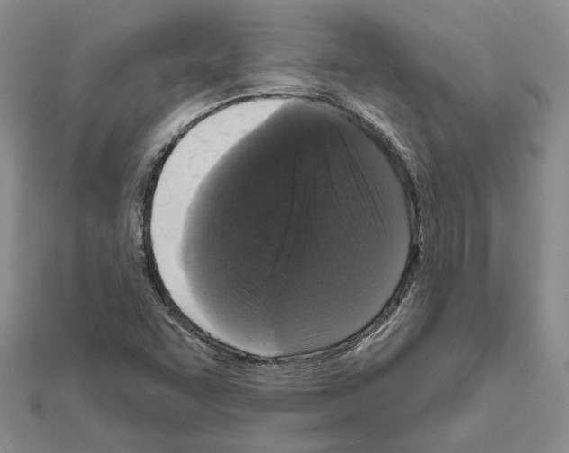 X0000111621455200908281102