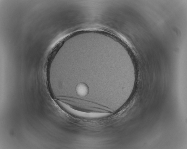 X0000111621456200908281102