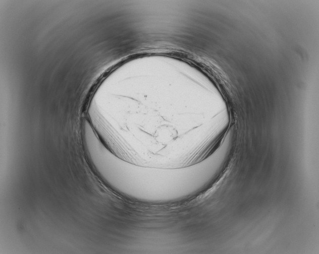 X0000111621457200908281102