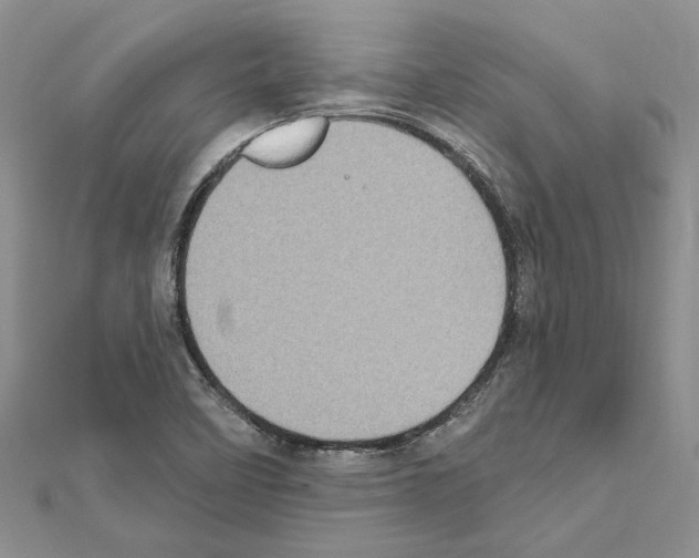 X0000111621458200908281102